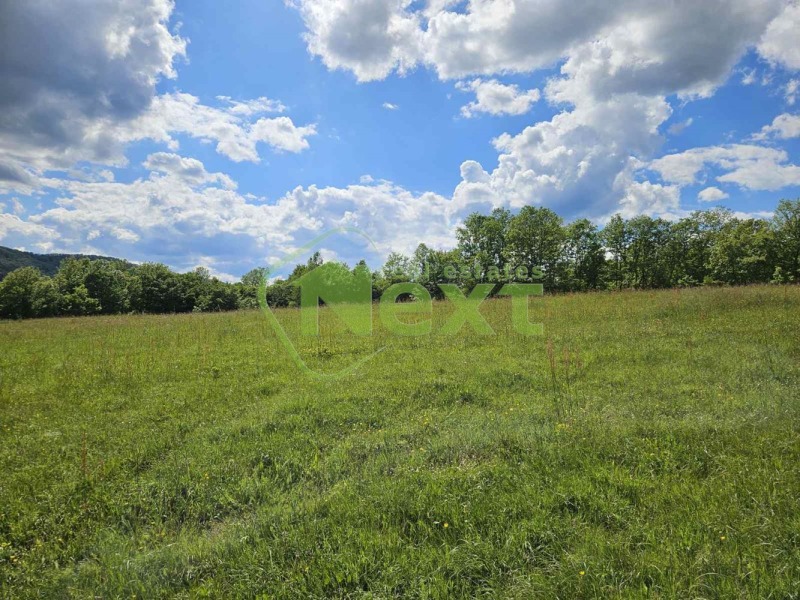 À venda  Terra região Lovech , Dobrodan , 33 tudo bem | 89058935 - imagem [3]