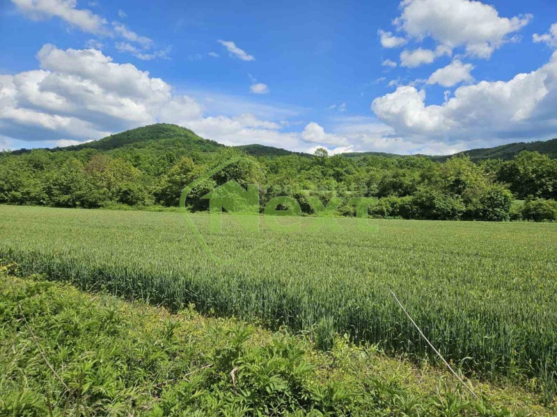 À venda  Terra região Lovech , Dobrodan , 33 tudo bem | 89058935 - imagem [8]