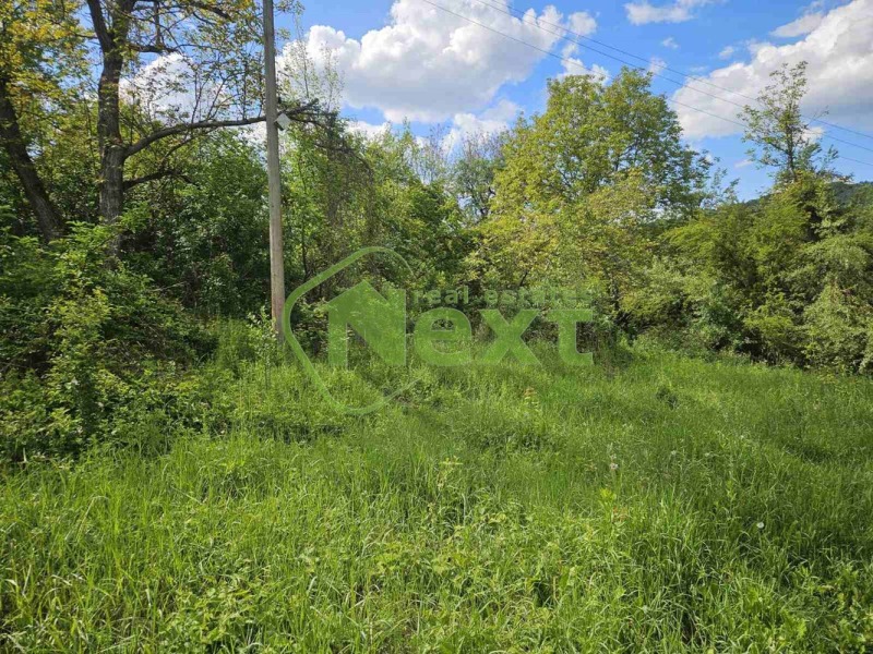 À venda  Terra região Lovech , Dobrodan , 33 tudo bem | 89058935 - imagem [5]