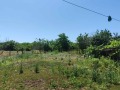 Продава КЪЩА, област Добрич, с. Спасово • 50000 € • 38958039 — Holmes.bg