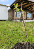 Продава  Къща град Бургас , Банево , 42 кв.м | 83016122 - изображение [3]