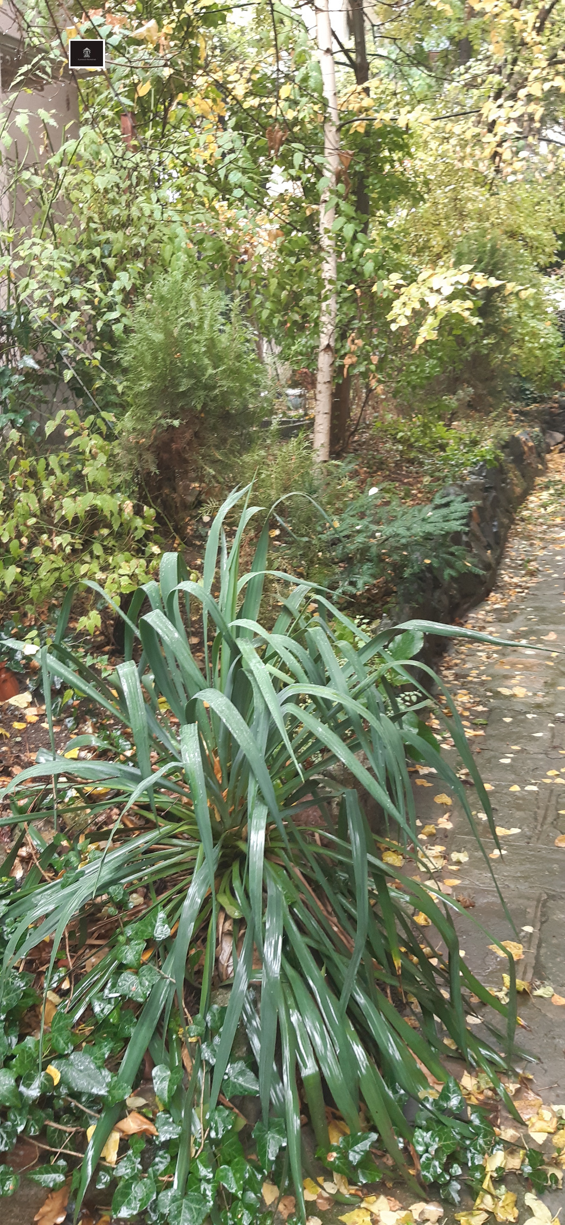 ������� 3-����� | Imot.bg � ����������� 15