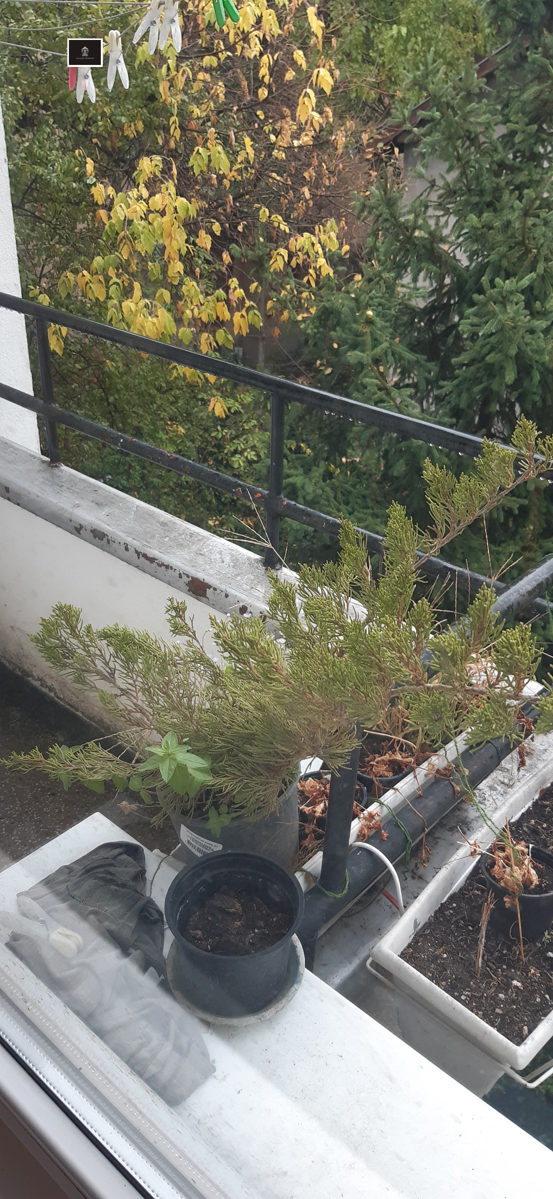 ������� 3-����� | Imot.bg � ����������� 10