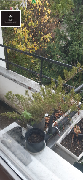 ������� 3-����� | Imot.bg � ����� ������ 10