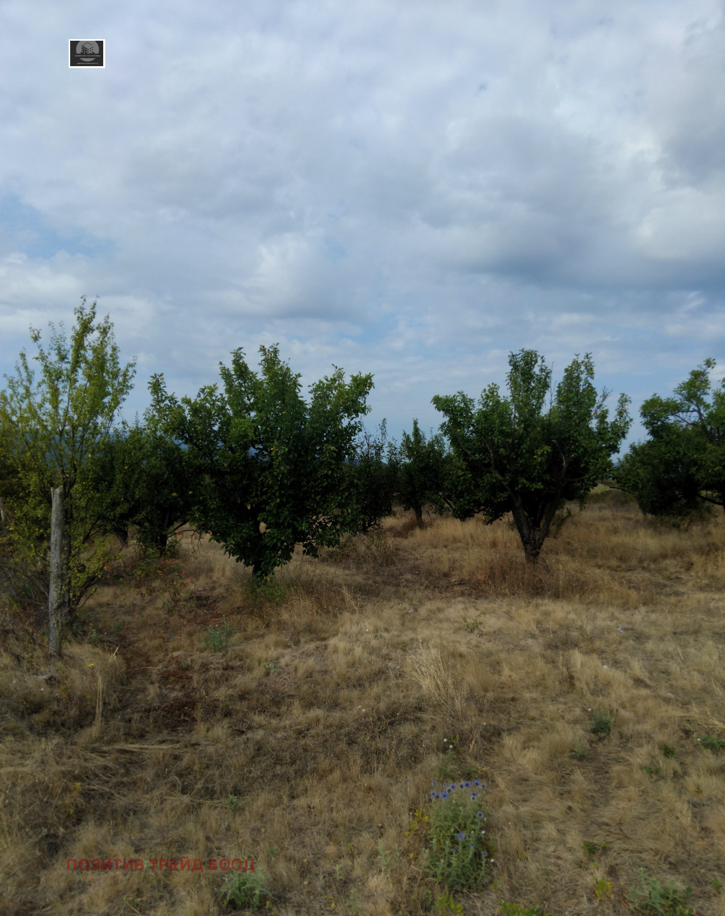 Продава КЪЩА, с. Берсин, област Кюстендил, снимка 9 - Къщи - 55892497