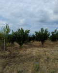 Продава КЪЩА, с. Берсин, област Кюстендил, снимка 9