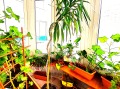 Продава МНОГОСТАЕН, град София, Мусагеница • 399000 € / 780376.17 лв. • 90229827 1