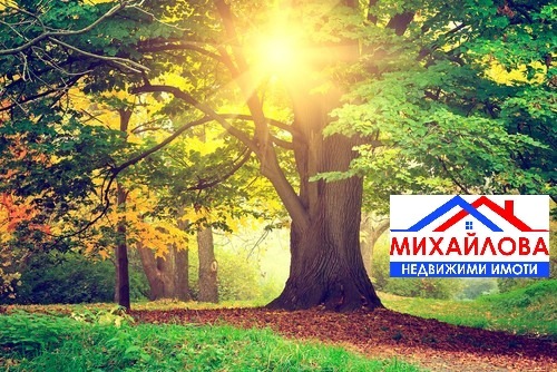 ������� ���������� ���� | Imot.bg � ����������� 1