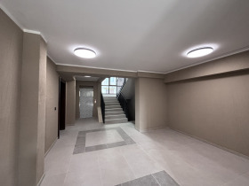 ����� ������� 3-�����,���� �����, ����