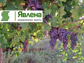 ������� ���� | Imot.bg � ����� ������ 7