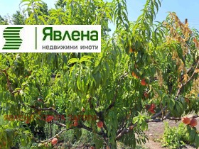 ������� ���� | Imot.bg � ����� ������ 14