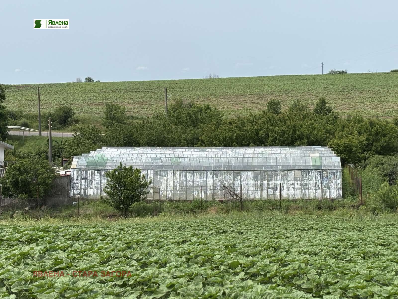 Продава КЪЩА, с. Тракия, област Стара Загора, снимка 10 - Къщи - 56129889