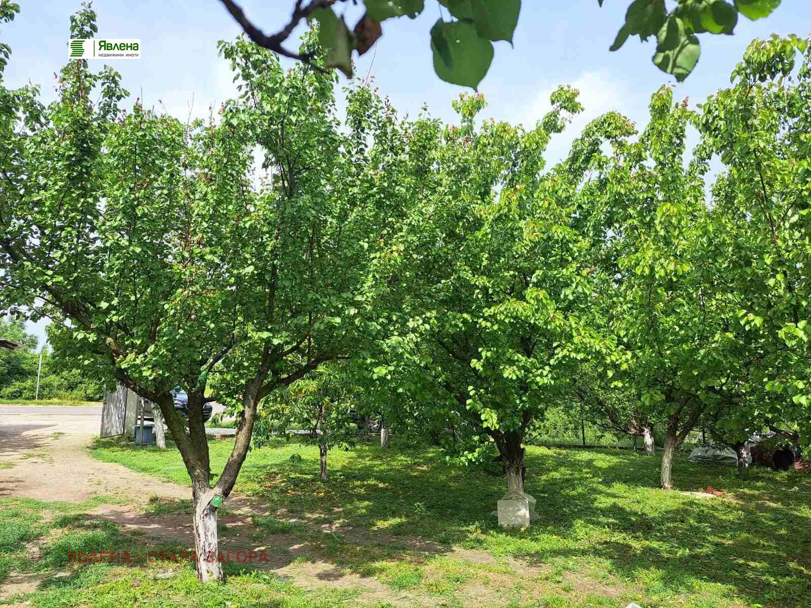 Продава КЪЩА, с. Тракия, област Стара Загора, снимка 4 - Къщи - 56129889