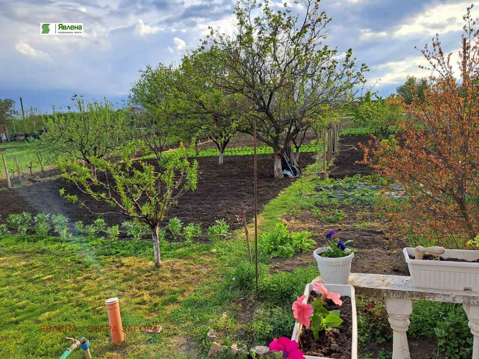 Продава КЪЩА, с. Тракия, област Стара Загора, снимка 3 - Къщи - 56129889