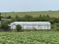 Продава КЪЩА, с. Тракия, област Стара Загора, снимка 10