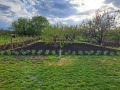 Продава КЪЩА, с. Тракия, област Стара Загора, снимка 11