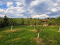 Продава КЪЩА, с. Тракия, област Стара Загора, снимка 13