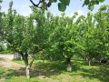 Продава  Къща област Стара Загора , с. Тракия , 110 кв.м | 86878783 - изображение [4]