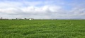 Продава ПАРЦЕЛ, област Бургас, гр. Поморие • 49300 € / 96422.42 лв. • 37195286 1