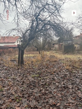 ������� ���� | Imot.bg � ����� ������ 8