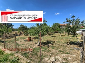 Plott Jagoda, region Stara Zagora 1