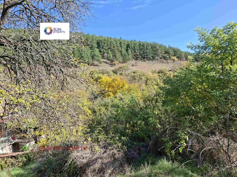 Продава КЪЩА, гр. София, с. Желява, снимка 3 - Къщи - 52185102