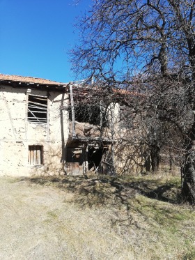 Huis Mureno, regio Pernik 6