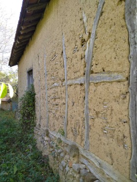 Hus Mureno, region Pernik 4