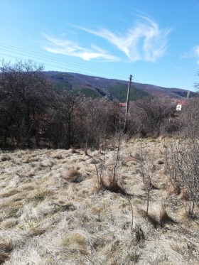 House Mureno, region Pernik 5