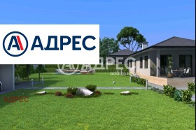 ������ ������� ����