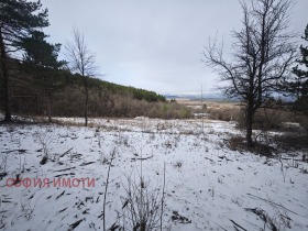 ����� ������� ������,���� �����, ��. �����