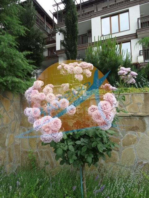 Продава 1-СТАЕН, гр. Созопол, област Бургас, снимка 6 - Апартаменти - 54846779