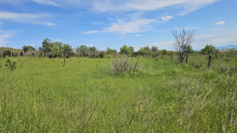 À vendre  Parcelle Bourgas , Izvorichte , 700 m² | 98032314 - image [6]