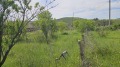 Продава ПАРЦЕЛ, град Бургас, с. Изворище • 16000 € • 19059481 — Holmes.bg