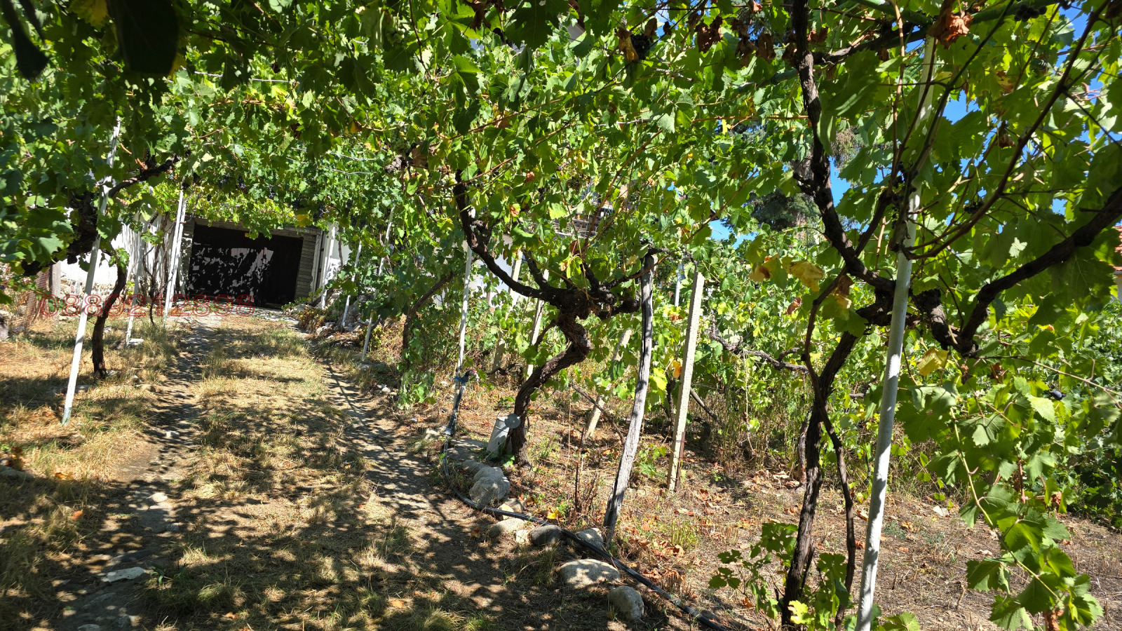 Продава КЪЩА | Imot.bg — изображение 11