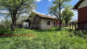 ����� ������� ����,��. �������, ������ ������>