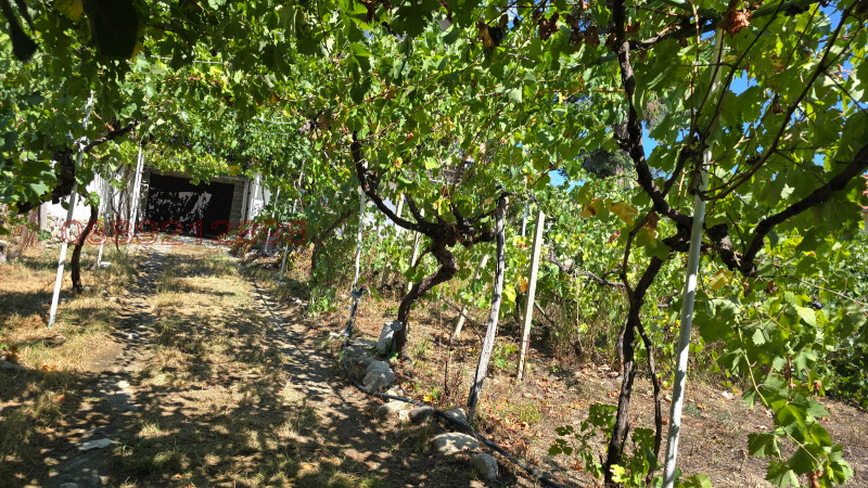Til salg  Hus region Sofia , Muhovo , 202 kvm | 30347954 - billede [11]