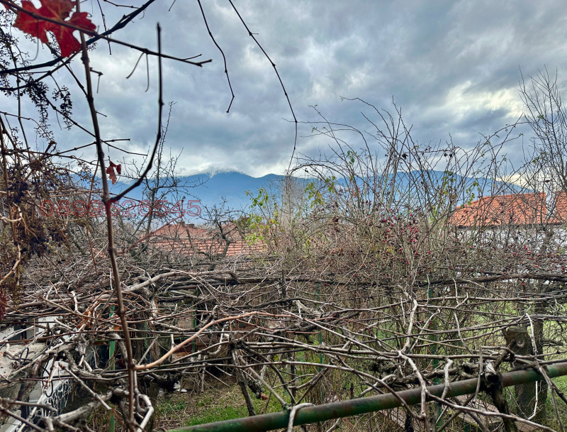 Продава КЪЩА, с. Яхиново, област Кюстендил, снимка 7 - Къщи - 52779787