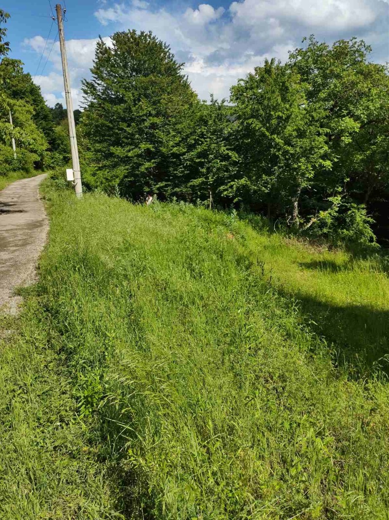 For Sale  Plot region Sofia , Kostinbrod , 800 sq.m | 35656784