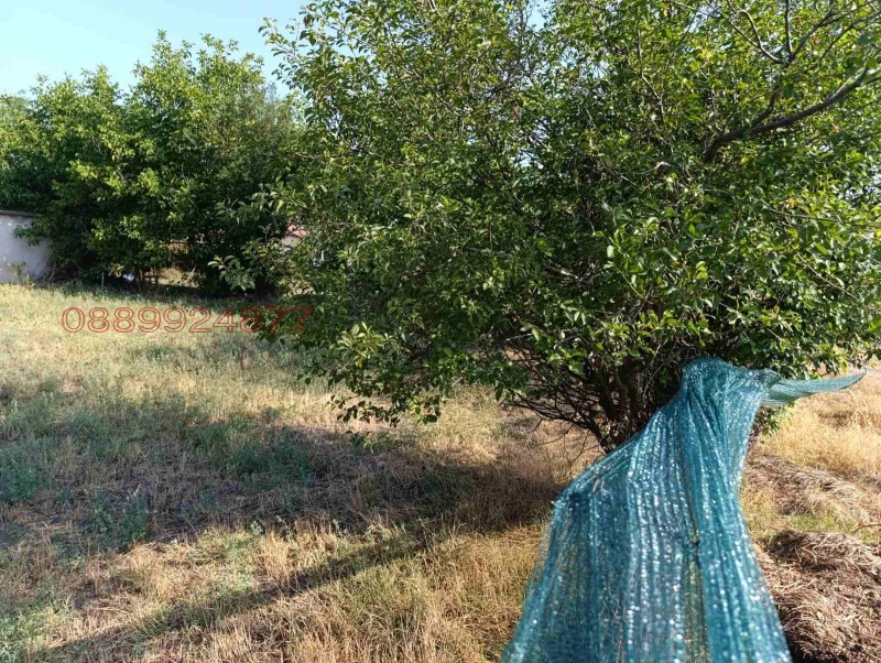 Продава  Парцел област Плевен , гр. Долни Дъбник , 800 кв.м | 82326649 - изображение [6]