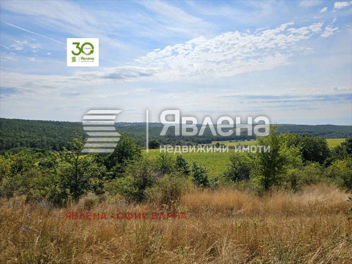 Продава ПАРЦЕЛ, с. Бенковски, област Варна, снимка 4 - Парцели - 55659278
