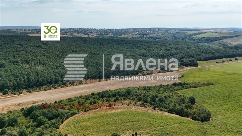Продава ПАРЦЕЛ, с. Бенковски, област Варна, снимка 2 - Парцели - 55659278
