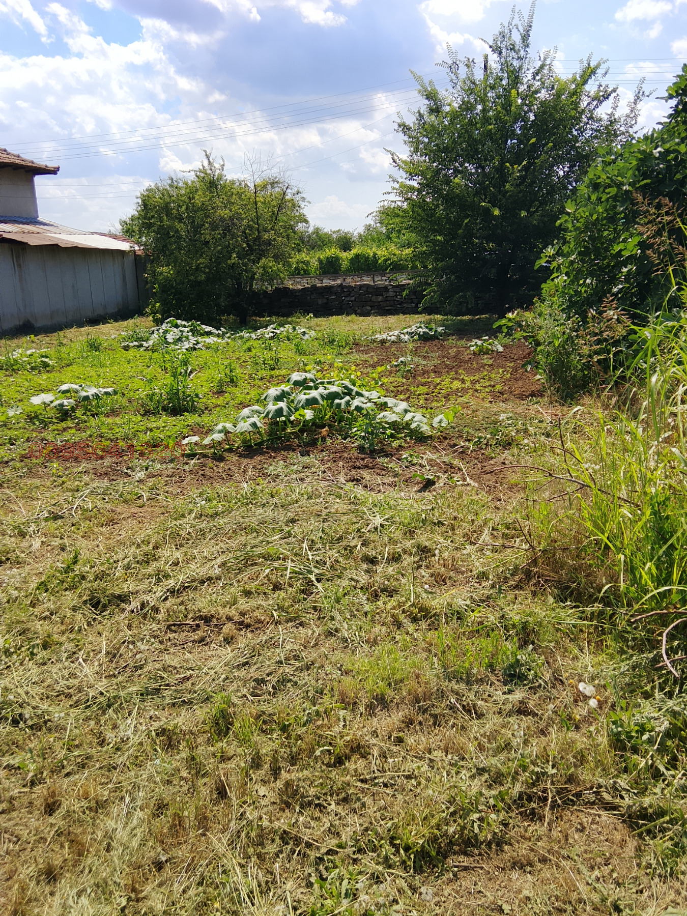 Продава ПАРЦЕЛ, с. Пелишат, област Плевен, снимка 2 - Парцели - 55092311