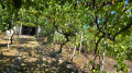 Продава КЪЩА, област София, с. Мухово • 235000 € • 62422744 — Holmes.bg