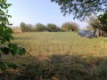 Продава ПАРЦЕЛ, област Плевен, гр. Долни Дъбник • 12000 € • 17634472 — Holmes.bg