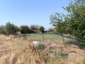 Продава ПАРЦЕЛ, област Плевен, гр. Долни Дъбник • 12000 € • 17634472 — Holmes.bg