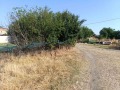 Продава ПАРЦЕЛ, област Плевен, гр. Долни Дъбник • 12000 € • 17634472 — Holmes.bg