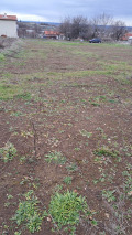 Продава ПАРЦЕЛ, с. Хрищени, област Стара Загора, снимка 3