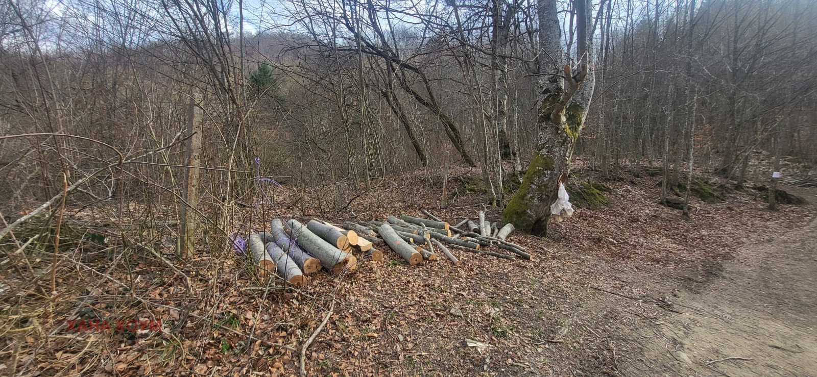 Продава ПАРЦЕЛ | Imot.bg — изображение 3