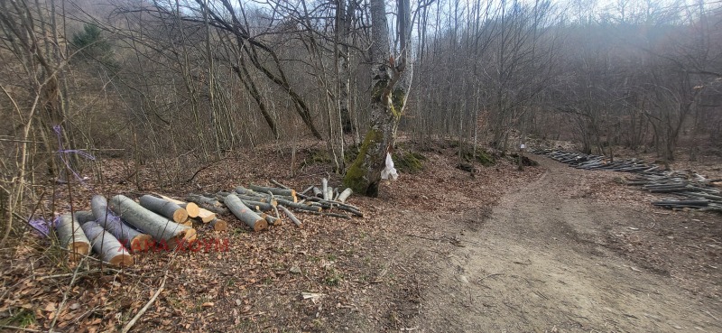 Till salu  Komplott region Lovech , Tjerni Osam , 1916 kvm | 84642095 - bild [4]